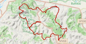 POMONF UFFICIALE backup