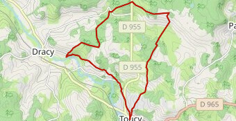 Chemins creux de Puisaye N°19 PR