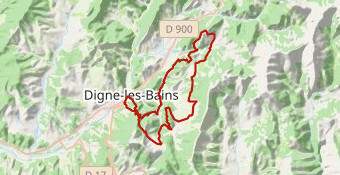 Raid Terres-Noires 2010