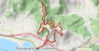 TrasiHard_24k_2022_def