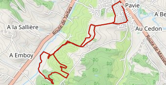 Téléthon  Pavie Trail