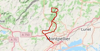 250518 P01 N #HORTUS #PIC