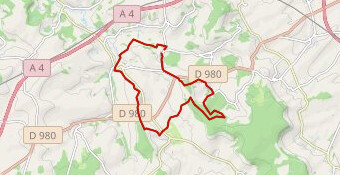 Sortie prépa raid28