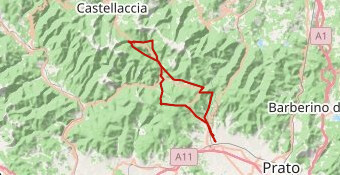 GF EDITA PUCINSKAITE (percorso fondo)