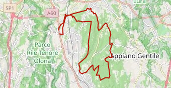 PARCO PINETA GRAVEL 120322