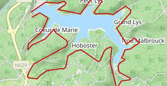 Run Bike carnaval 2019