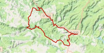 Petite pétale ouest pensée espalionnaise