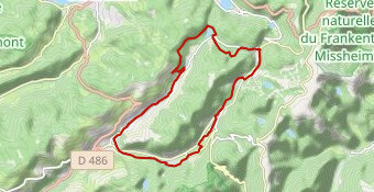 CIRCUIT VTT N°12