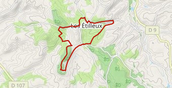 SDP 005 - les Etilleux (via Vallégrain) 11 km
