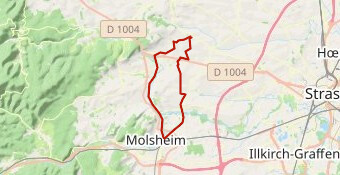 Fessenheim - Molsheim