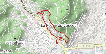 RANDO N°1Vignoble de Guebwiller