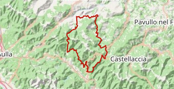 Pradarena Orecchiella HardVersion