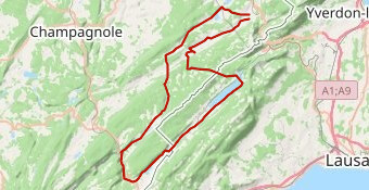 3. Etoile du Jura 2023 -Lu 8 05 -Le Brassus 129 km