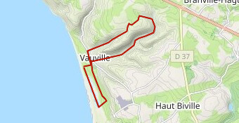 Vauville le Catillon