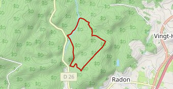 Carrefour de Radon 7.7 km (Hiver) RG