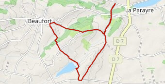 Balade canine 31 - Beaufort 