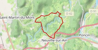 Classic Junior NEUVILLE SUR AIN