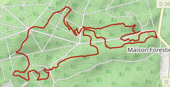 VERDIER 2023 - 16 km