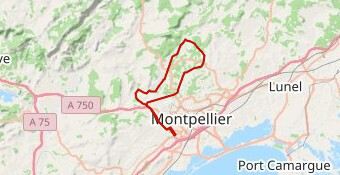 250518 P02 N #HORTUS #PIC