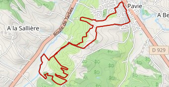 Pavie Trail 2023  11,500km
