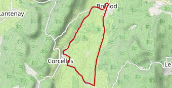 Gentleman de Brénod 2022