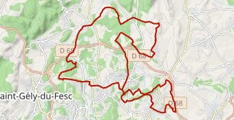 La Teyrannaise Gravel