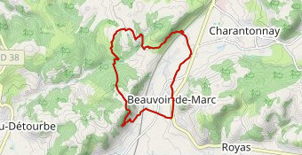 Beauvoir de Marc - Savas Bruyeres Boviduc 2