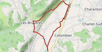 Beauvoir de Marc -  Var Chasse Bagnoud Fromentaux