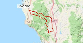 2°giro medio/lungo  chiappino