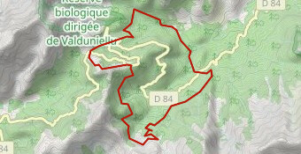 Restonica Trail Blanc 2023