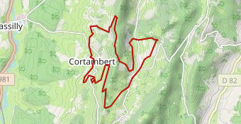 Trail du Mont Saint Romain 2022 17km