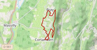 Trail du Mont St Romain 11km