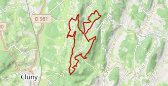 Trail du Mont Saint Romain 2022 30km