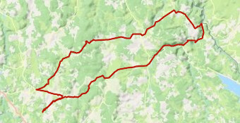 La TAMBURLINI 2023 -1