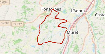 CF - 029 - Fonsorbes Court