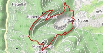 rando mont saint odile - observatoire cortène-1521