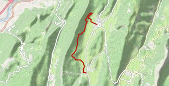 Relais 1 Festitrail 12,5 kms 2023