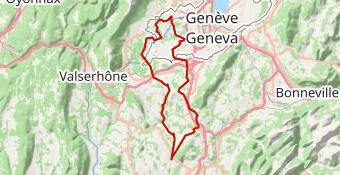 variante siliingy suisse