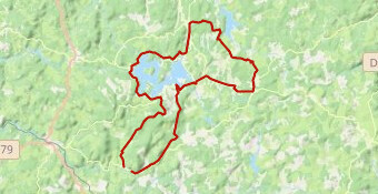 Nedde lac de Vassivière N° 1 noire