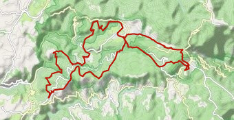 Sortie vélo le matin