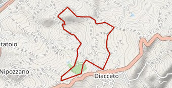 Nordic Walking HP 1 CORTO