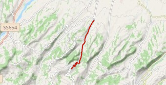 Gara amatori Gropparello - partenza