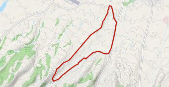 Gara amatori Gropparello - circuito da ripetere