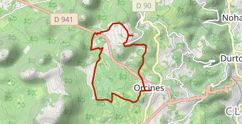 2023 randorcinoise 12