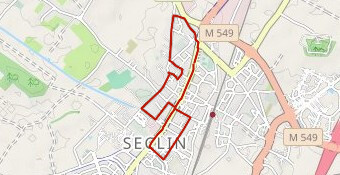 Foulées Collégiales 2024