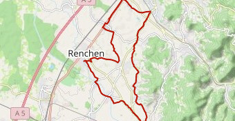 CerisiersFleursAdultes-15-04-2023