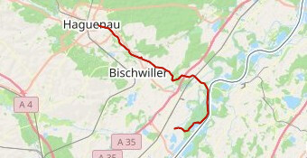 Offendorf - Haguenau - ADT/Vis-à-Vis - Nature