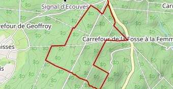 Croix Médavy 7.8 km RG