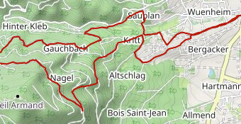 TRAIL VIEIL ARMAND - MOYEN