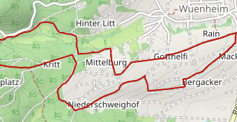 TRAIL VIEIL ARMAND - PRINTANIERE